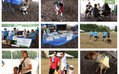 Family Fun Walk/Run 2024 Gallery + 2025 Event Scheduling